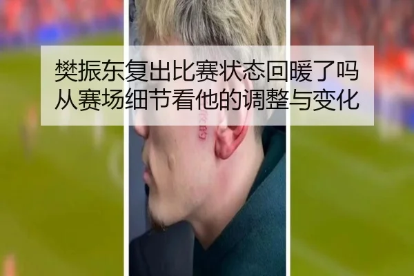 樊振东复出比赛状态回暖了吗 从赛场细节看他的调整与变化
